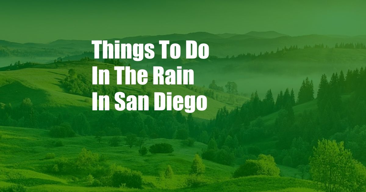 Things To Do In The Rain In San Diego