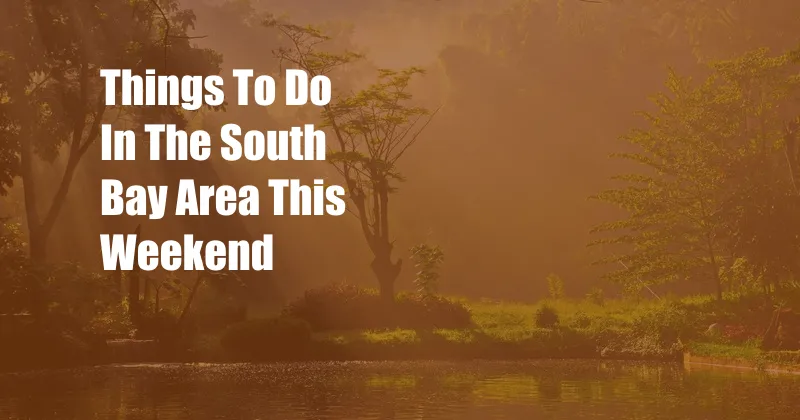 Things To Do In The South Bay Area This Weekend