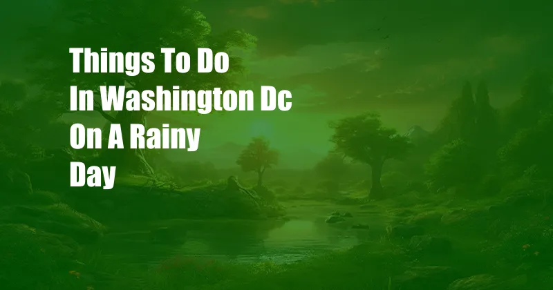 Things To Do In Washington Dc On A Rainy Day