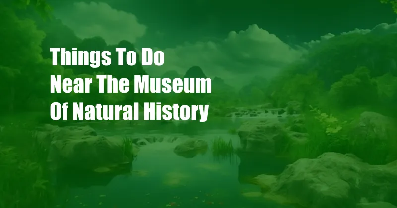 Things To Do Near The Museum Of Natural History