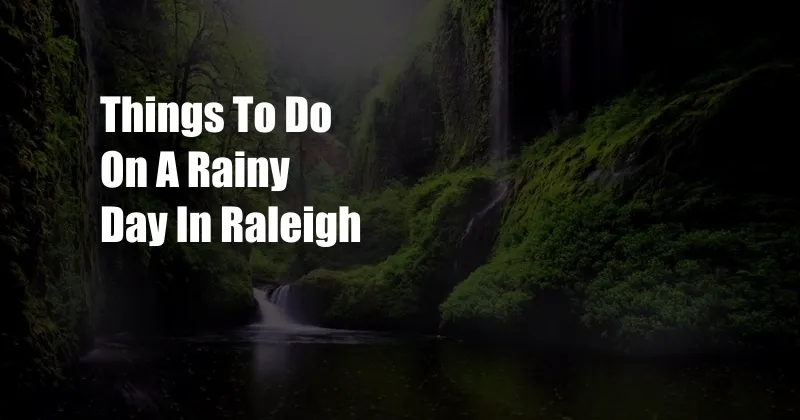 Things To Do On A Rainy Day In Raleigh