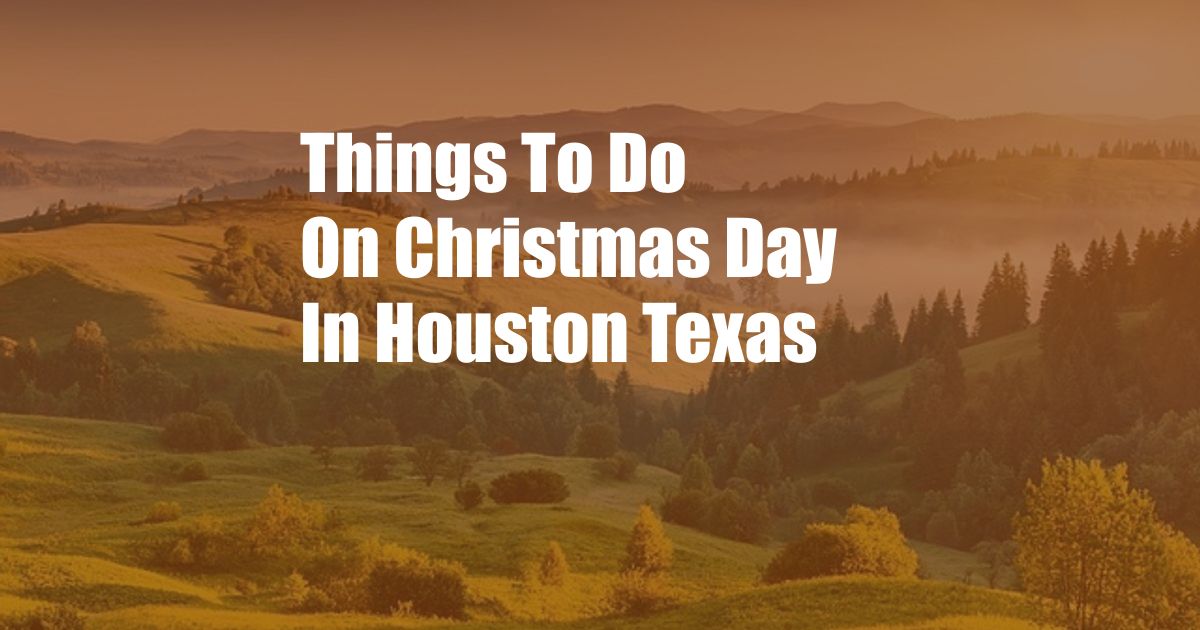 Things To Do On Christmas Day In Houston Texas