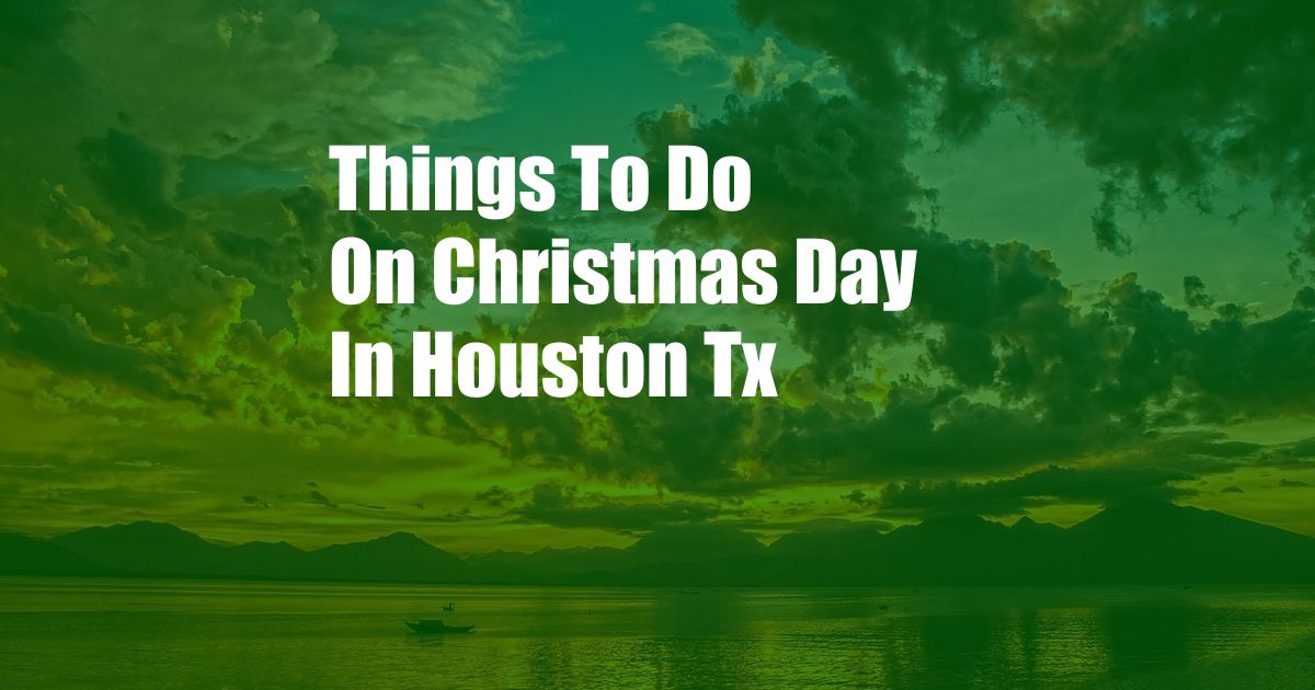 Things To Do On Christmas Day In Houston Tx