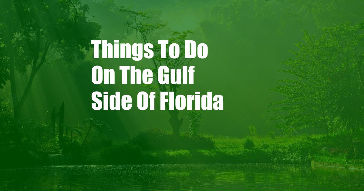 Things To Do On The Gulf Side Of Florida