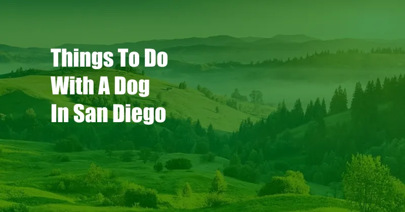 Things To Do With A Dog In San Diego
