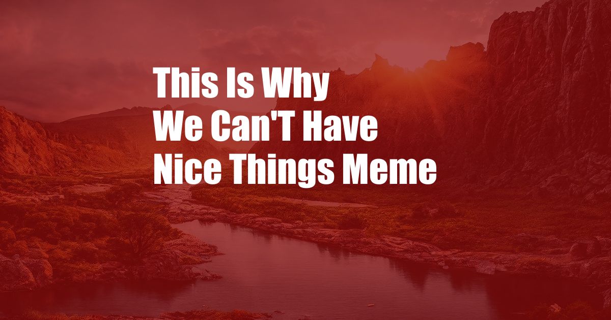 This Is Why We Can'T Have Nice Things Meme