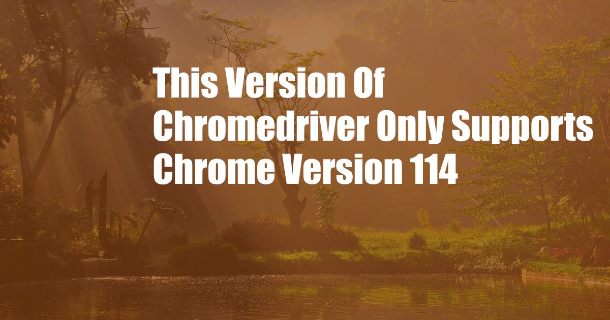 This Version Of Chromedriver Only Supports Chrome Version 114