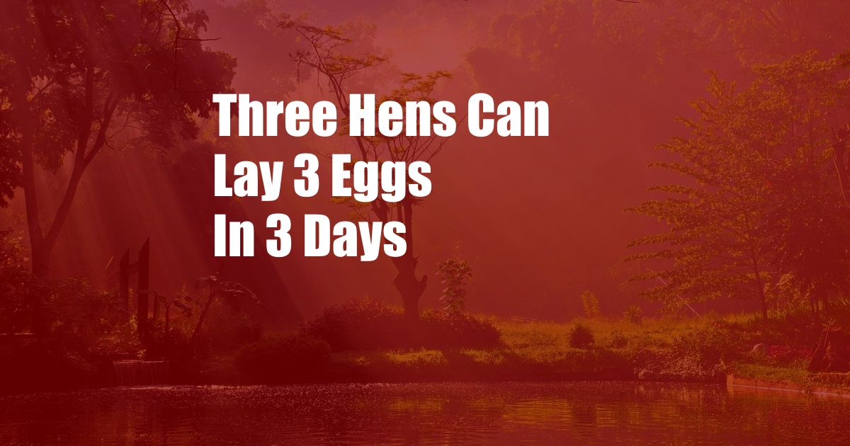 Three Hens Can Lay 3 Eggs In 3 Days