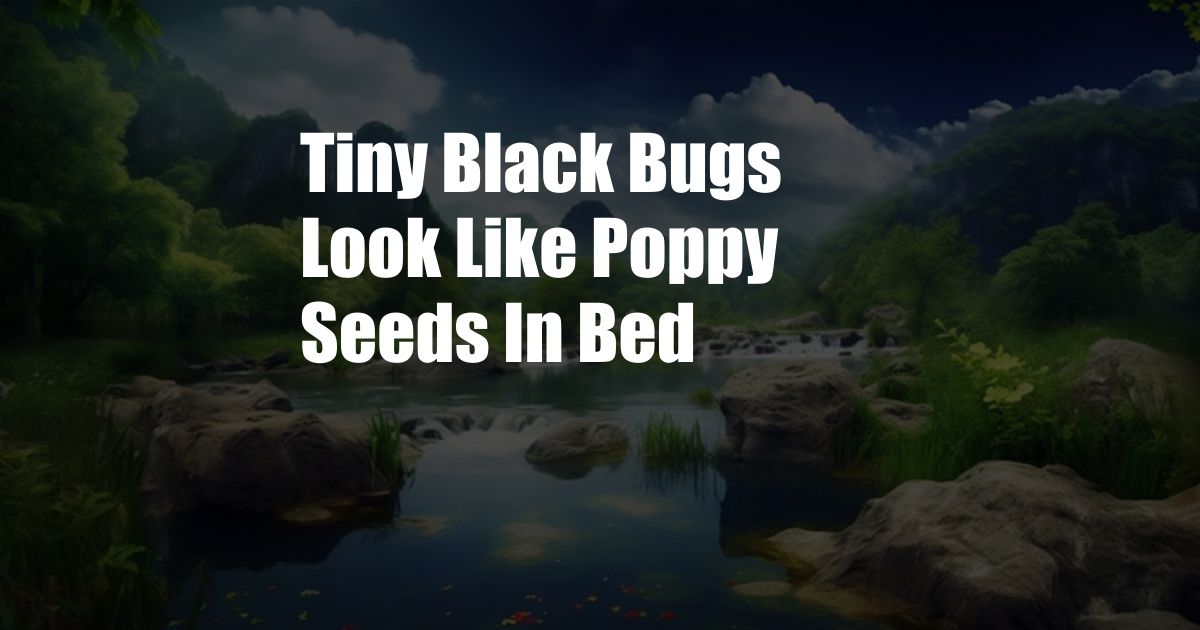 Tiny Black Bugs Look Like Poppy Seeds In Bed