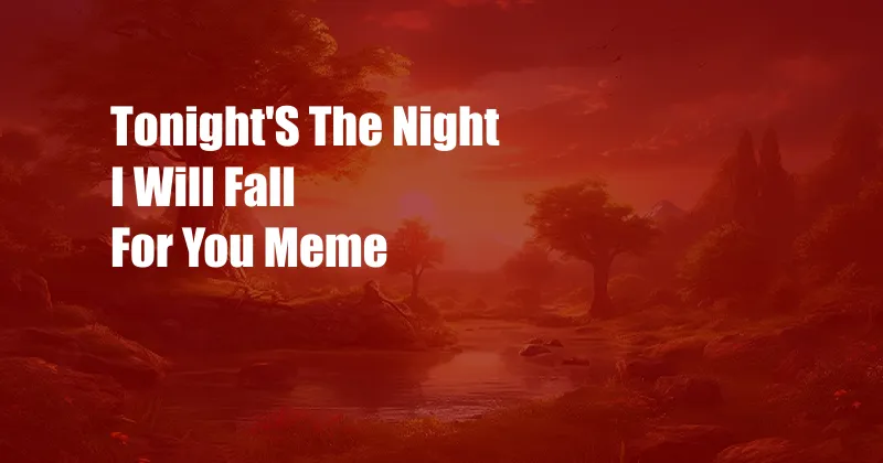 Tonight'S The Night I Will Fall For You Meme