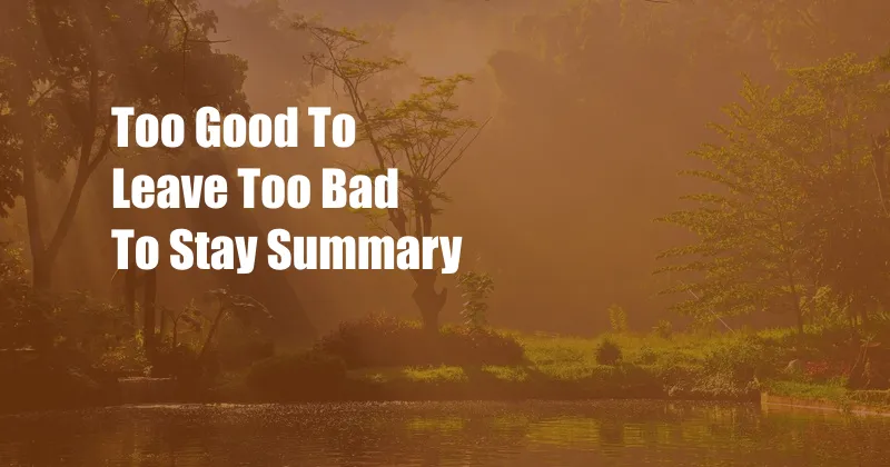 Too Good To Leave Too Bad To Stay Summary