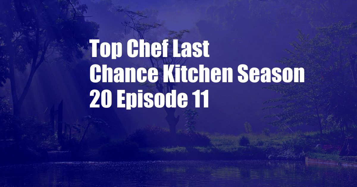 Top Chef Last Chance Kitchen Season 20 Episode 11