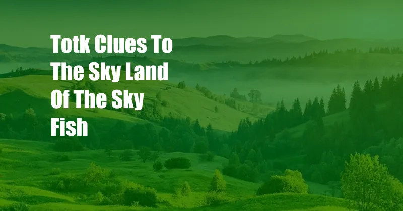 Totk Clues To The Sky Land Of The Sky Fish