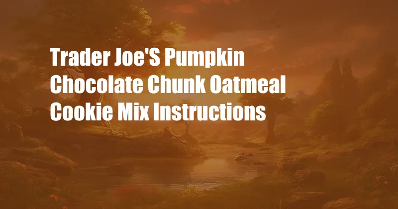 Trader Joe'S Pumpkin Chocolate Chunk Oatmeal Cookie Mix Instructions