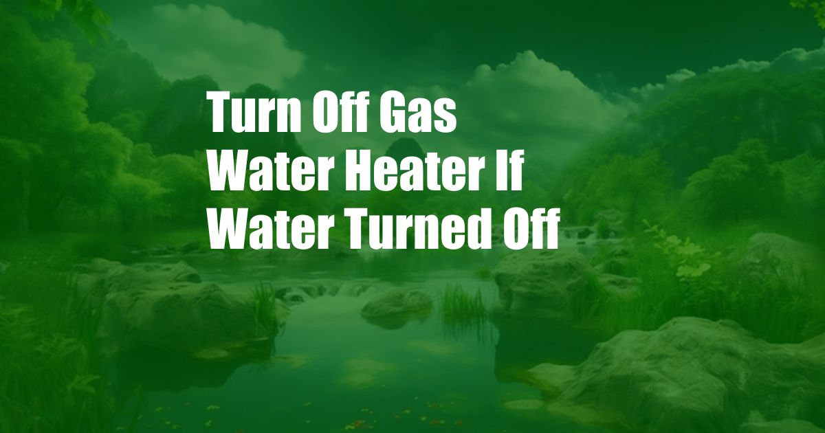 Turn Off Gas Water Heater If Water Turned Off