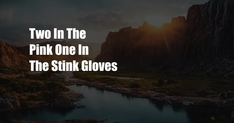 Two In The Pink One In The Stink Gloves