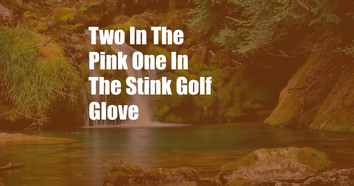 Two In The Pink One In The Stink Golf Glove