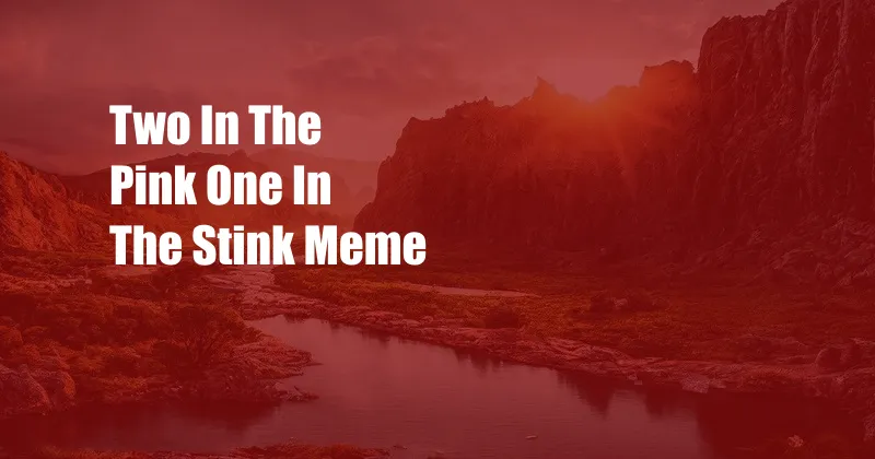 Two In The Pink One In The Stink Meme