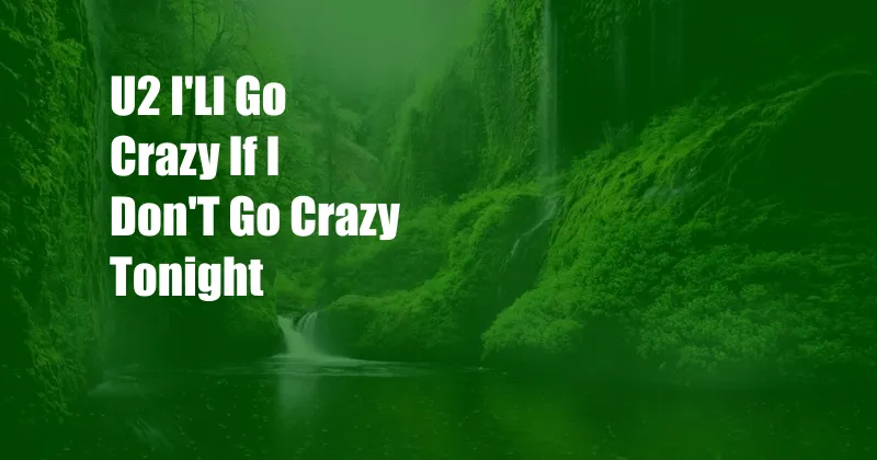 U2 I'Ll Go Crazy If I Don'T Go Crazy Tonight