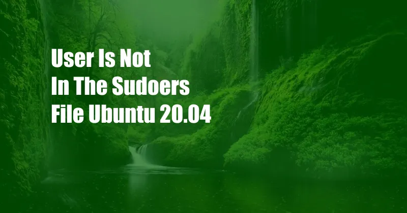 User Is Not In The Sudoers File Ubuntu 20.04
