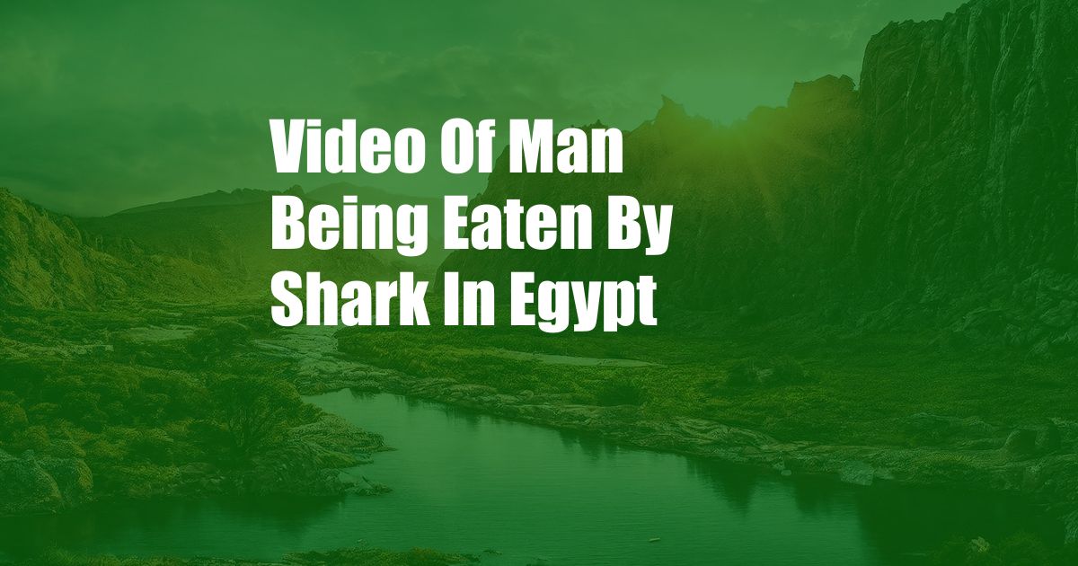 Video Of Man Being Eaten By Shark In Egypt