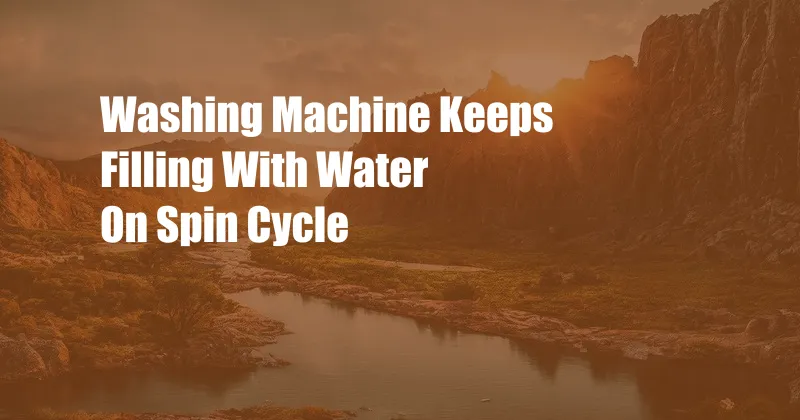 Washing Machine Keeps Filling With Water On Spin Cycle