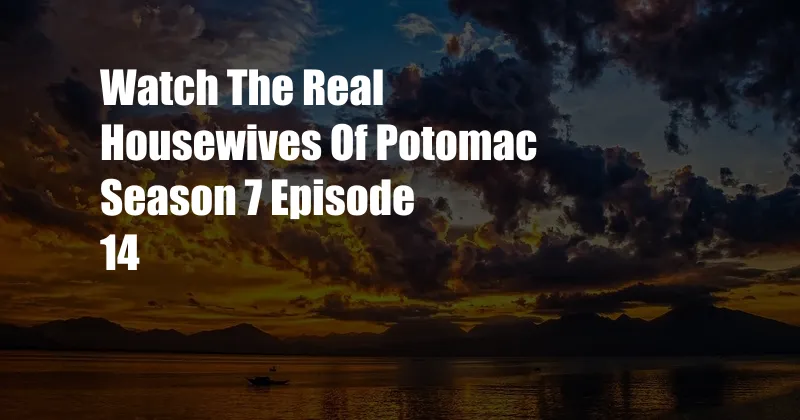 Watch The Real Housewives Of Potomac Season 7 Episode 14