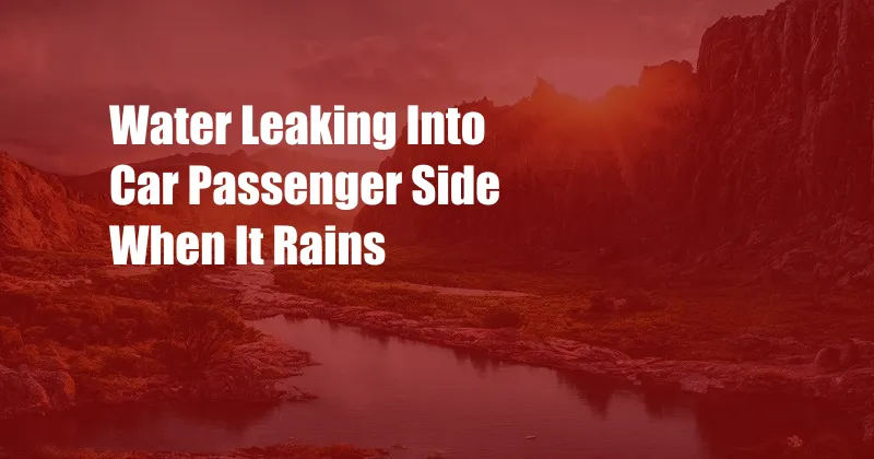 Water Leaking Into Car Passenger Side When It Rains