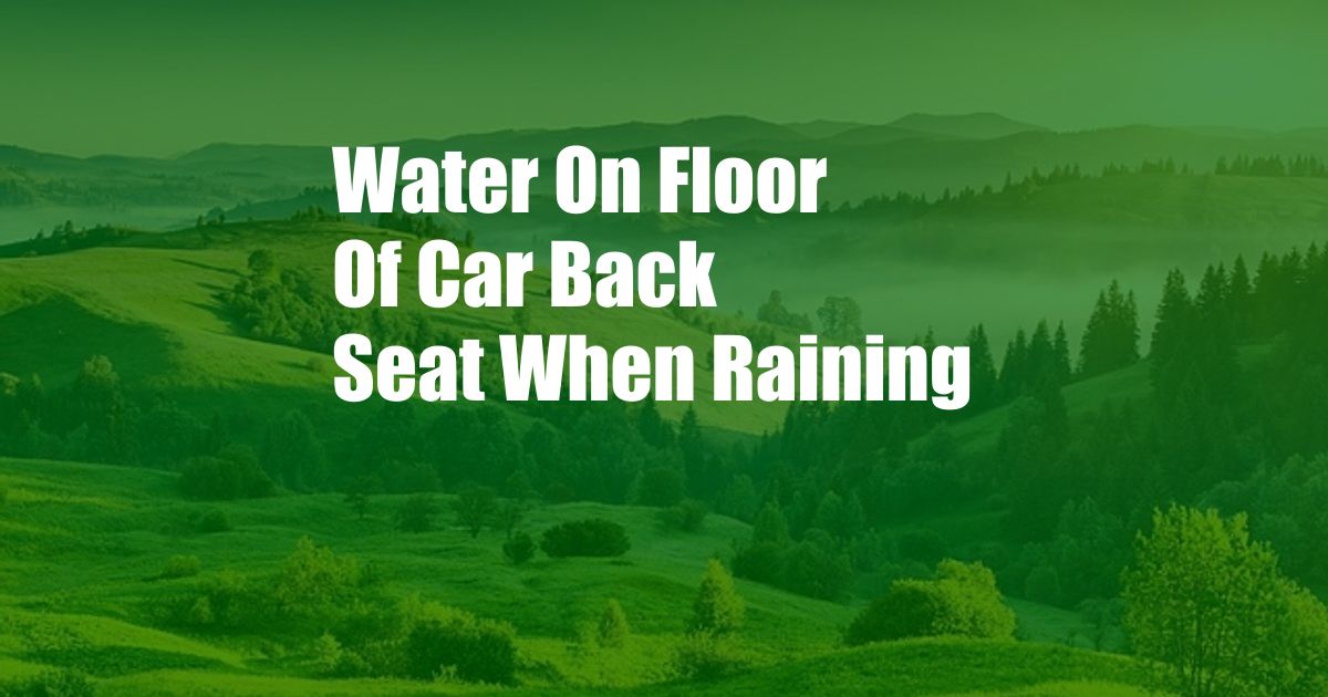 Water On Floor Of Car Back Seat When Raining