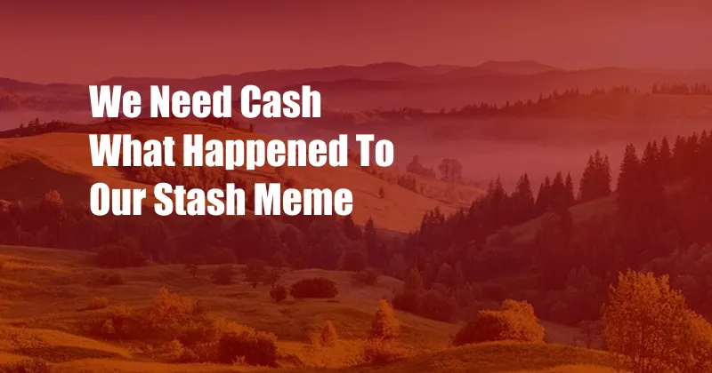 We Need Cash What Happened To Our Stash Meme