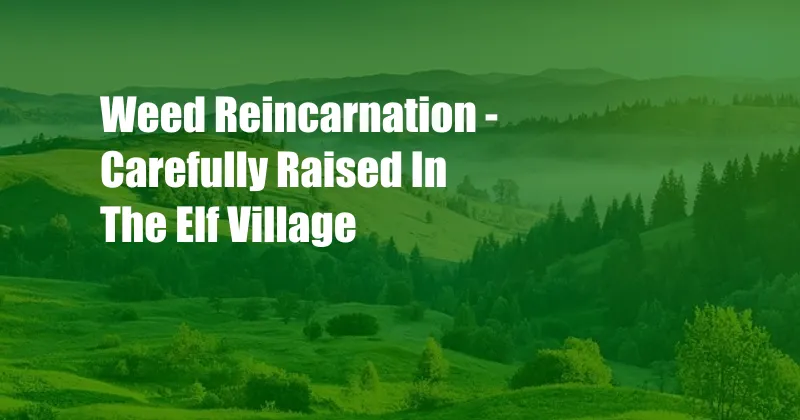 Weed Reincarnation - Carefully Raised In The Elf Village