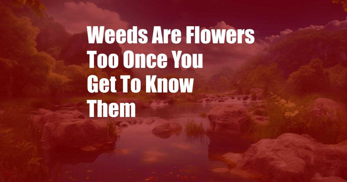 Weeds Are Flowers Too Once You Get To Know Them