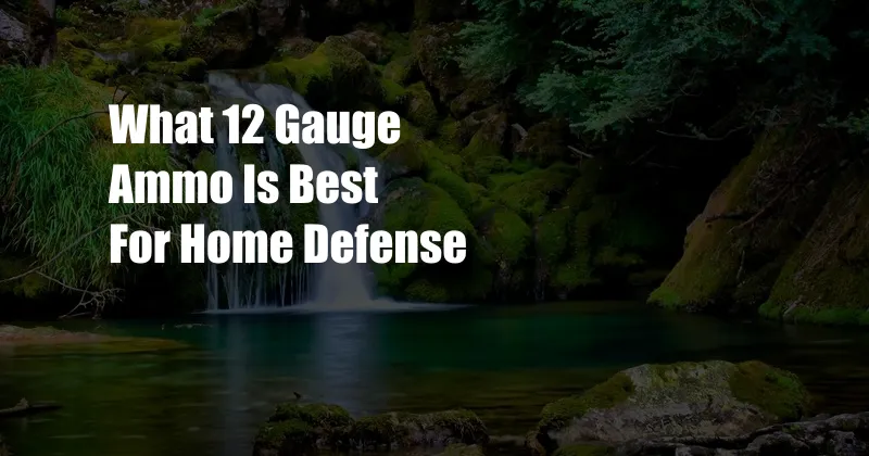 What 12 Gauge Ammo Is Best For Home Defense