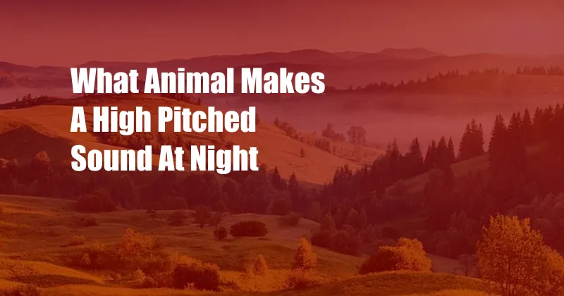 What Animal Makes A High Pitched Sound At Night
