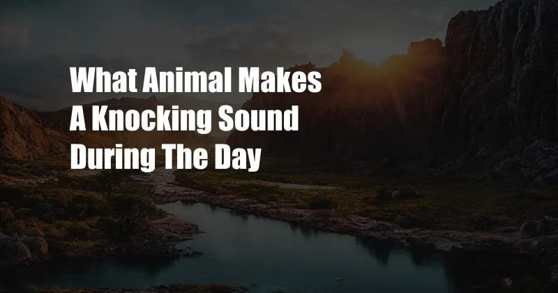 What Animal Makes A Knocking Sound During The Day