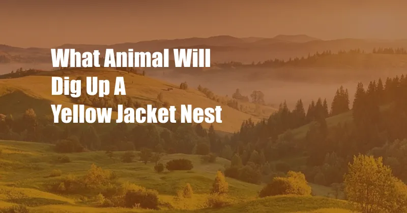 What Animal Will Dig Up A Yellow Jacket Nest