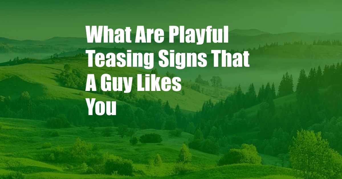 What Are Playful Teasing Signs That A Guy Likes You