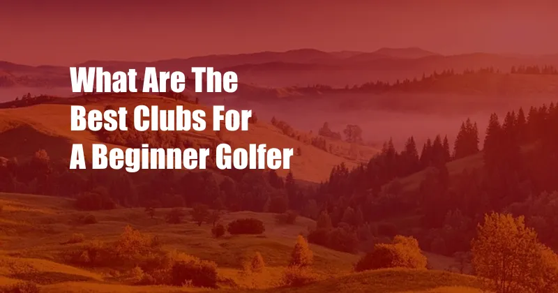 What Are The Best Clubs For A Beginner Golfer