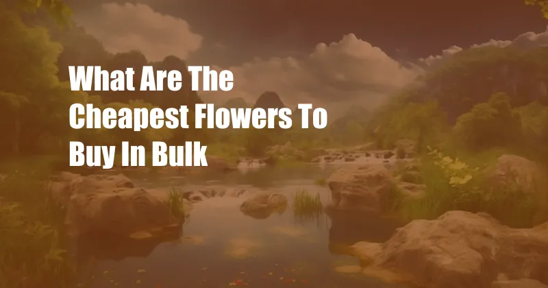 What Are The Cheapest Flowers To Buy In Bulk