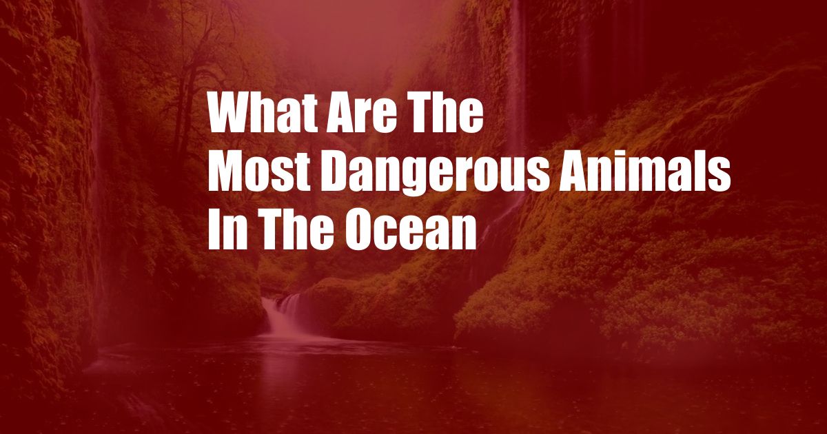 What Are The Most Dangerous Animals In The Ocean