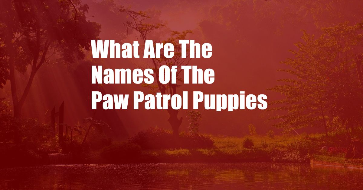 What Are The Names Of The Paw Patrol Puppies