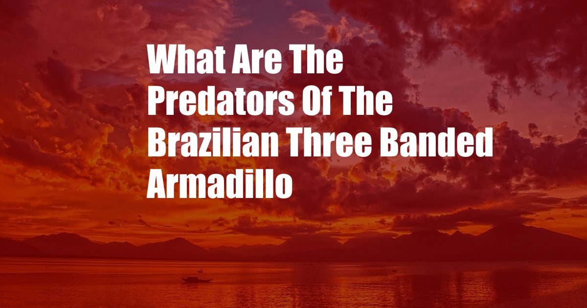 What Are The Predators Of The Brazilian Three Banded Armadillo