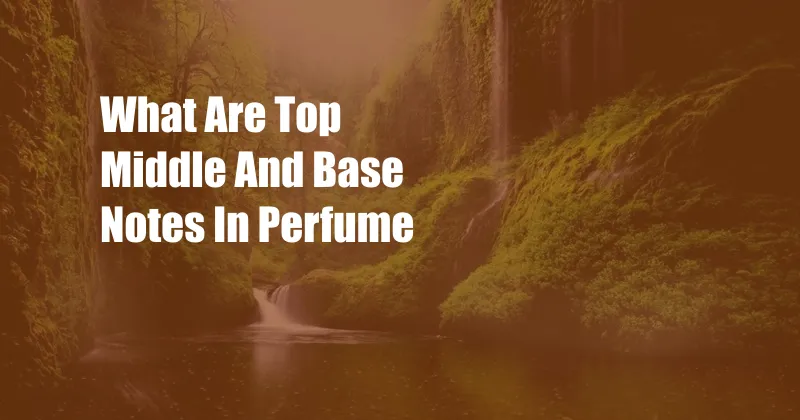 What Are Top Middle And Base Notes In Perfume