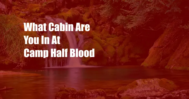What Cabin Are You In At Camp Half Blood