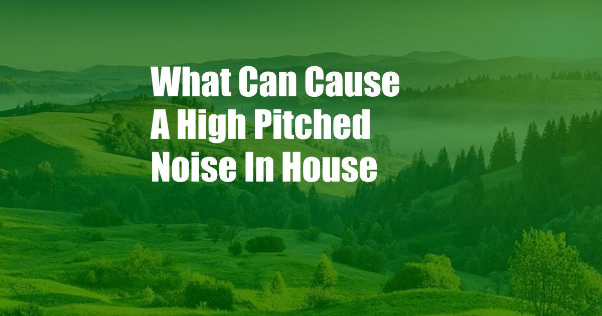 What Can Cause A High Pitched Noise In House