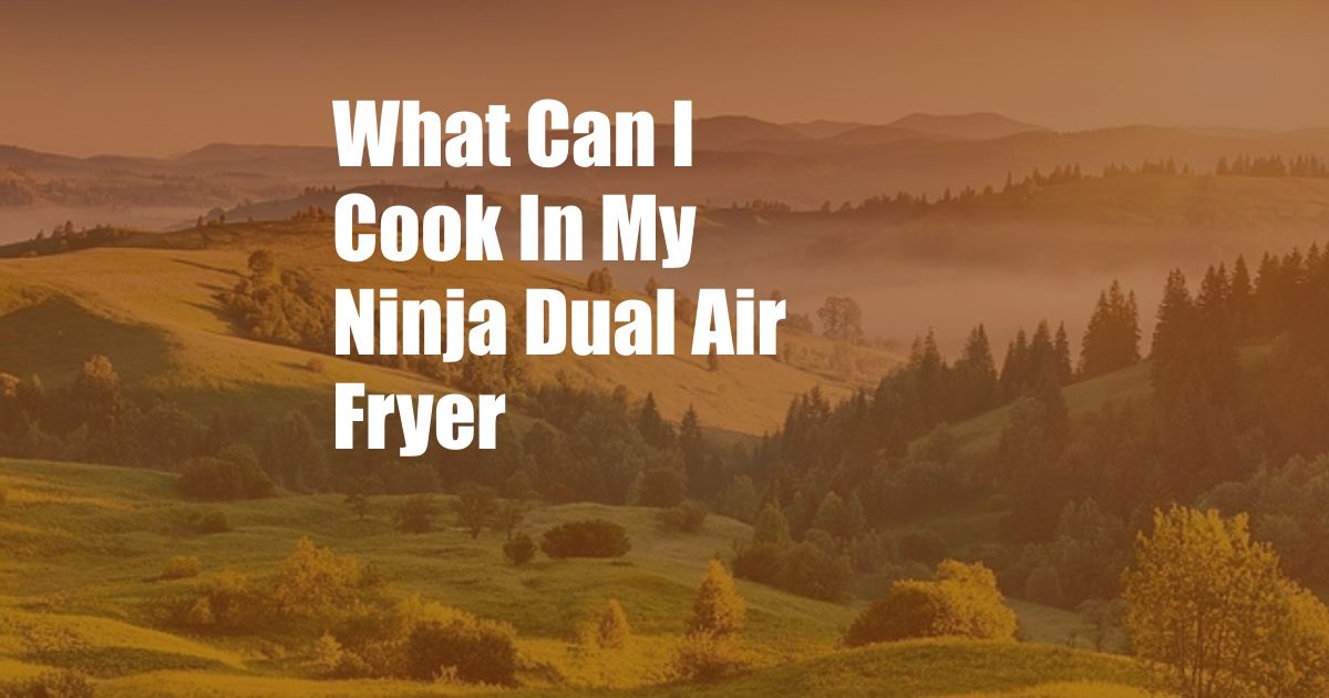 What Can I Cook In My Ninja Dual Air Fryer