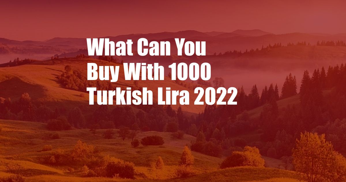 What Can You Buy With 1000 Turkish Lira 2022