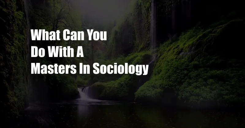 What Can You Do With A Masters In Sociology