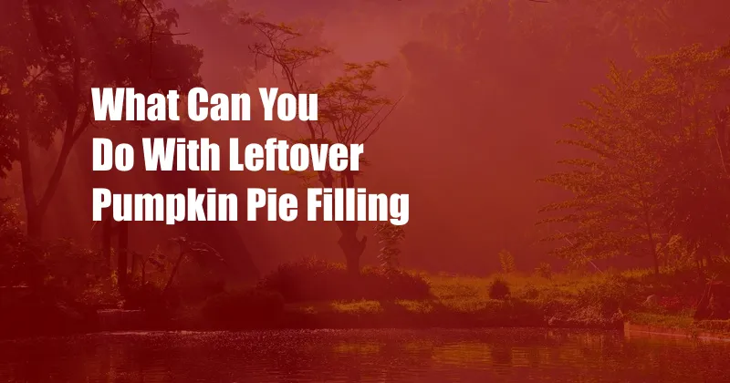 What Can You Do With Leftover Pumpkin Pie Filling