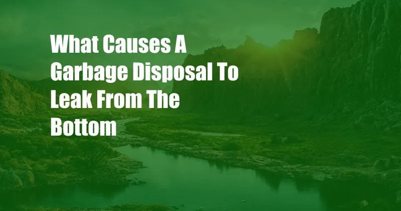 What Causes A Garbage Disposal To Leak From The Bottom